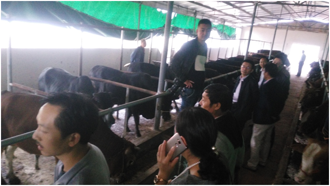 J9���Ź���(�й�)-�ٷ���վ