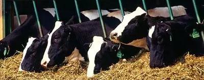 J9���Ź���(�й�)-�ٷ���վ