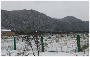 J9���Ź���(�й�)-�ٷ���վ