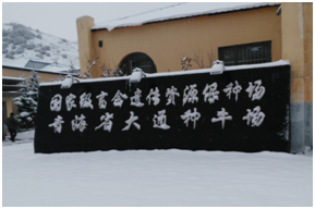 J9���Ź���(�й�)-�ٷ���վ