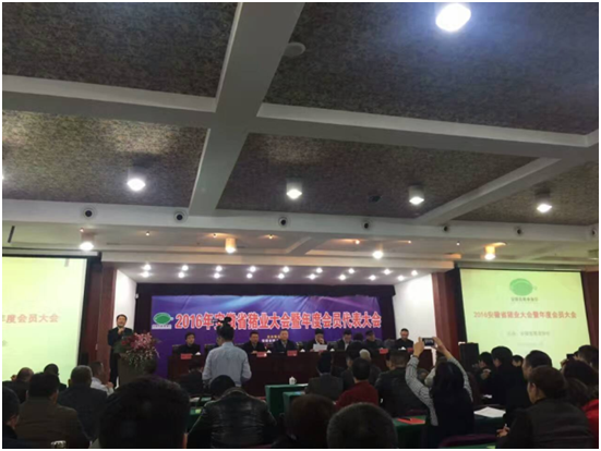 J9���Ź���(�й�)-�ٷ���վ