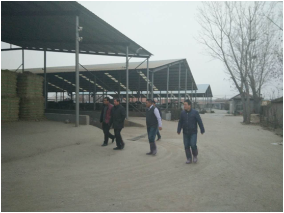 J9���Ź���(�й�)-�ٷ���վ