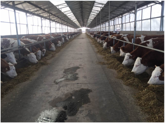 J9���Ź���(�й�)-�ٷ���վ