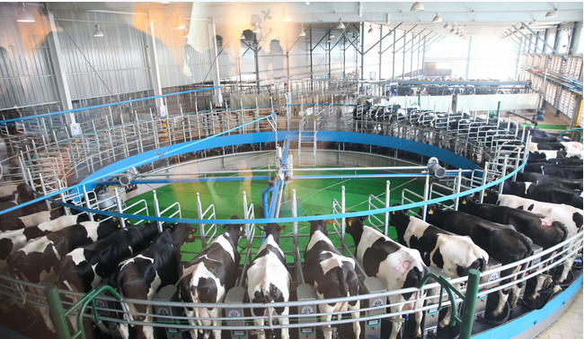 J9���Ź���(�й�)-�ٷ���վ