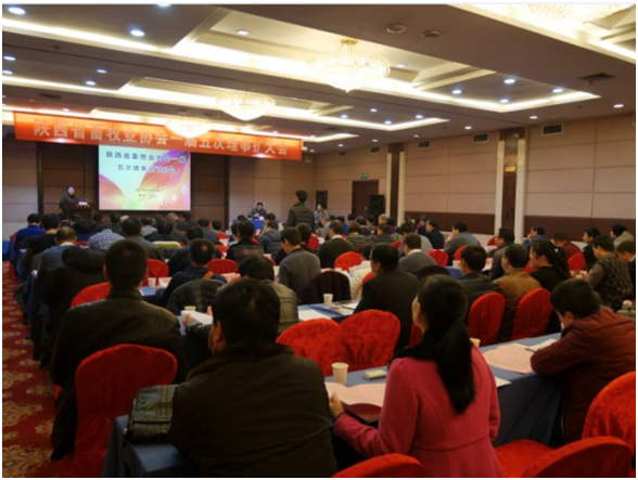 J9���Ź���(�й�)-�ٷ���վ