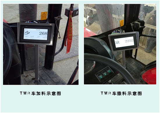 J9���Ź���(�й�)-�ٷ���վ