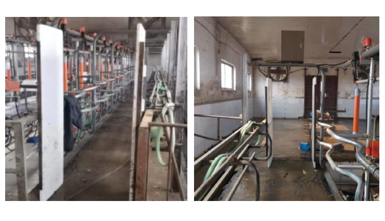 J9���Ź���(�й�)-�ٷ���վ