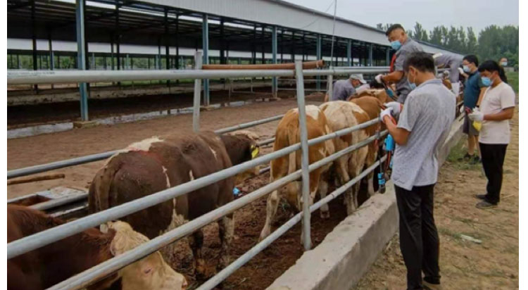 J9���Ź���(�й�)-�ٷ���վ