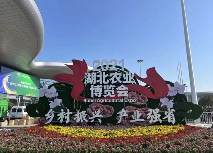 J9���Ź���(�й�)-�ٷ���վ