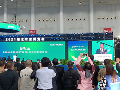 J9���Ź���(�й�)-�ٷ���վ