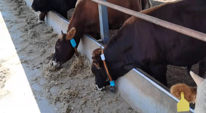 J9���Ź���(�й�)-�ٷ���վ