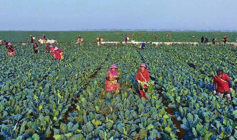 J9���Ź���(�й�)-�ٷ���վ