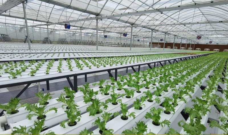 J9���Ź���(�й�)-�ٷ���վ