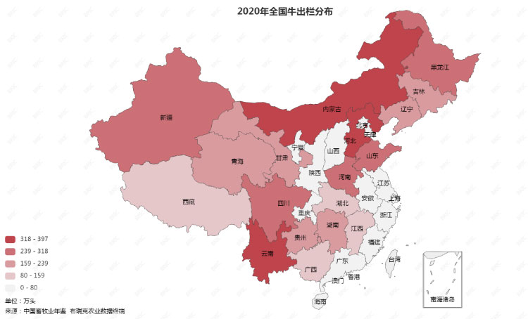 J9���Ź���(�й�)-�ٷ���վ