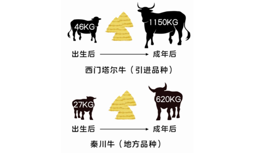 J9���Ź���(�й�)-�ٷ���վ