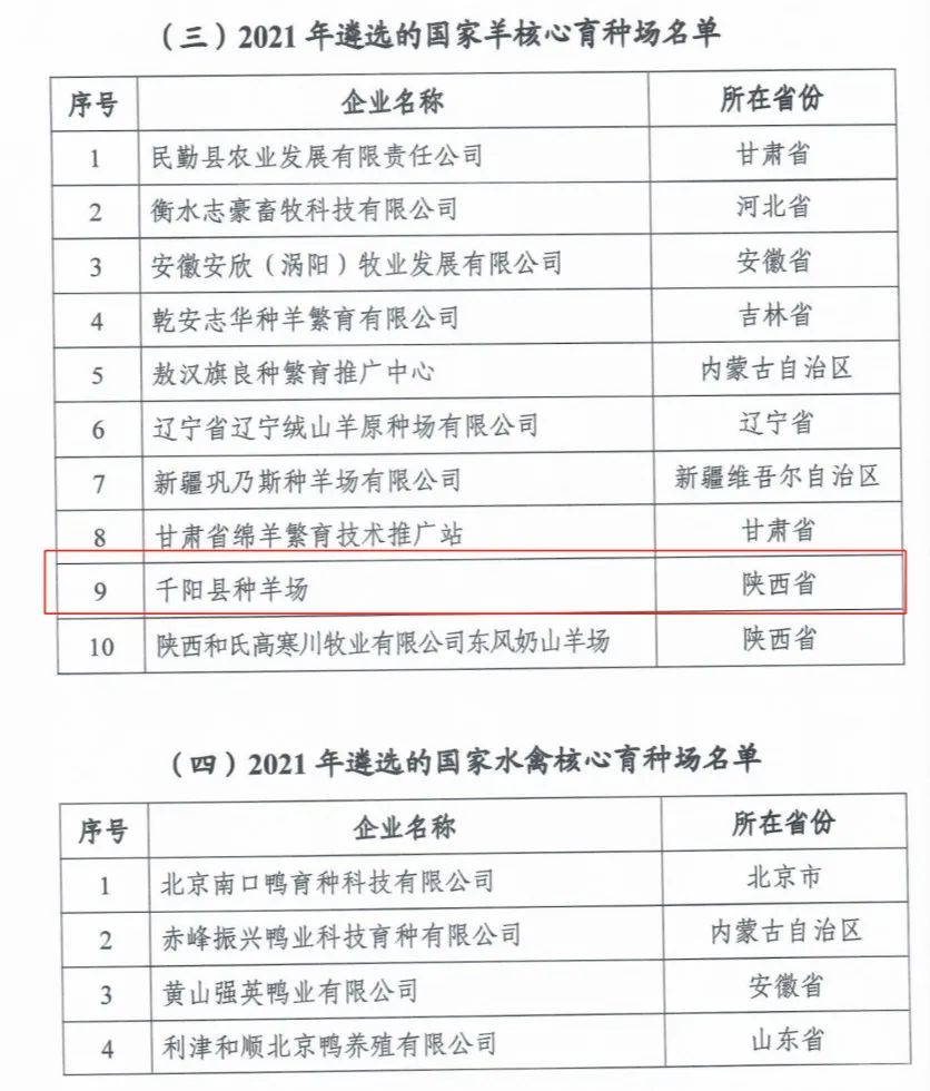 J9���Ź���(�й�)-�ٷ���վ