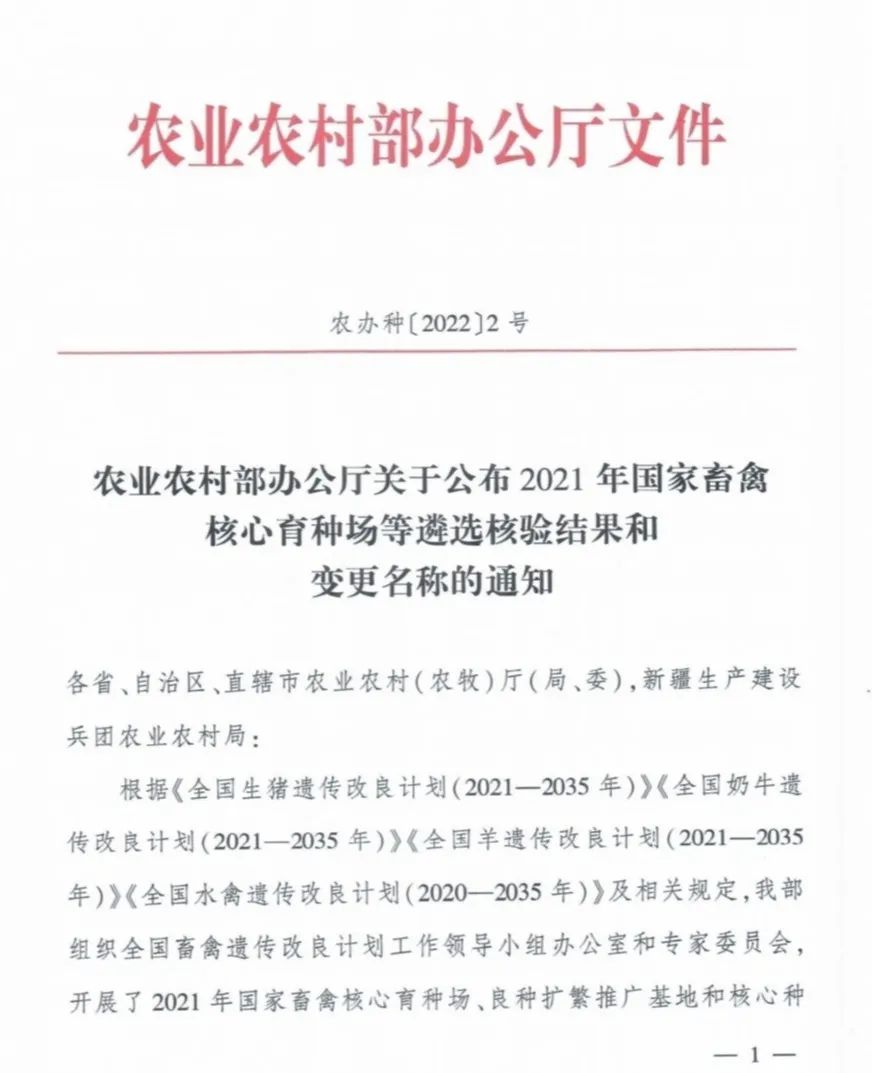 J9���Ź���(�й�)-�ٷ���վ