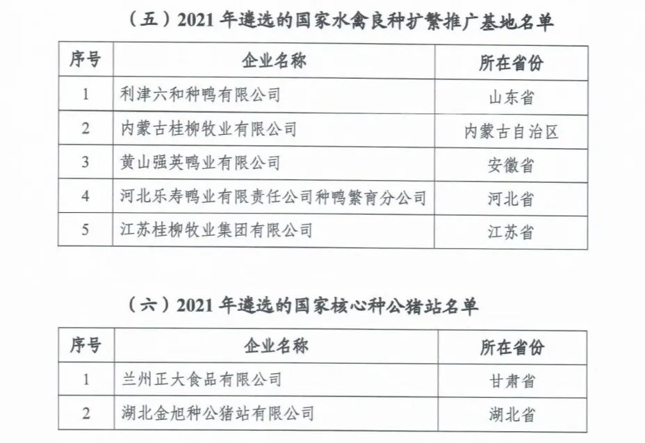 J9���Ź���(�й�)-�ٷ���վ