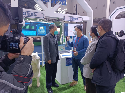 J9���Ź���(�й�)-�ٷ���վ