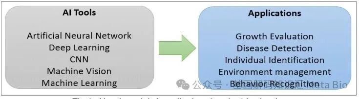 J9���Ź���(�й�)-�ٷ���վ