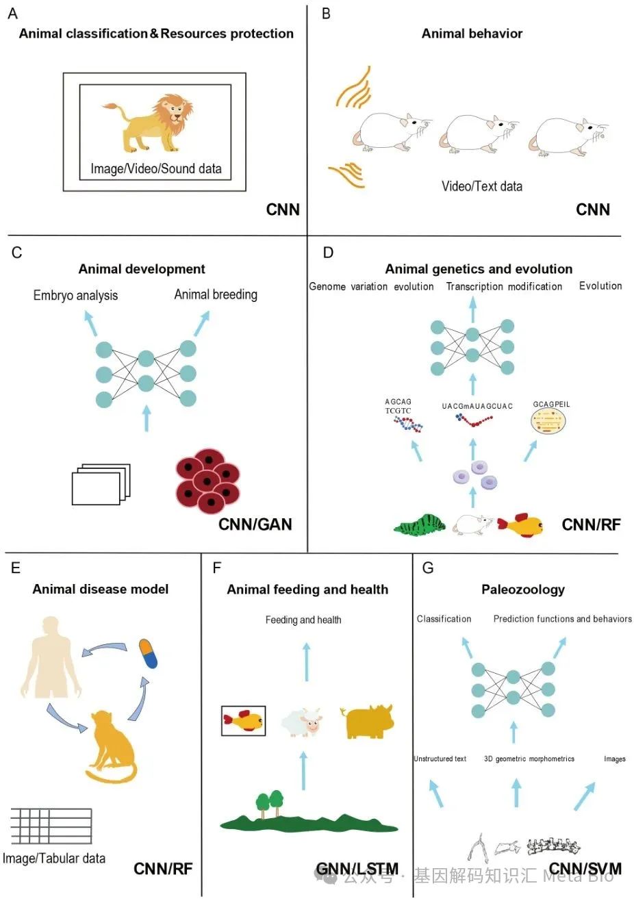 J9���Ź���(�й�)-�ٷ���վ