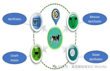 J9���Ź���(�й�)-�ٷ���վ