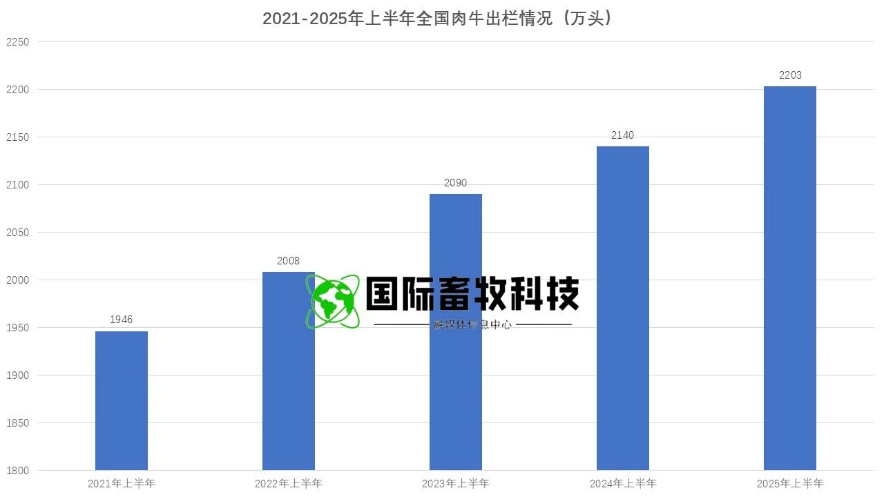 J9���Ź���(�й�)-�ٷ���վ